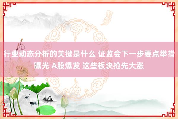 行业动态分析的关键是什么 证监会下一步要点举措曝光 A股爆发 这些板块抢先大涨