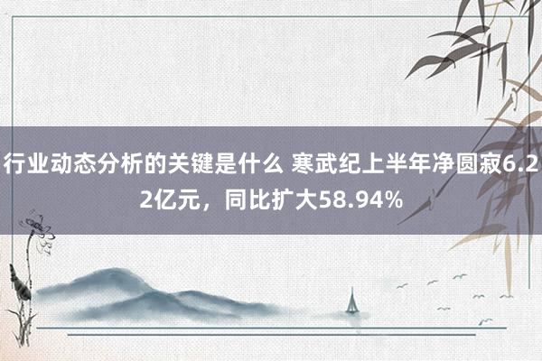 行业动态分析的关键是什么 寒武纪上半年净圆寂6.22亿元，同比扩大58.94%