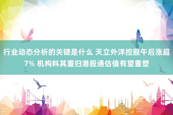 行业动态分析的关键是什么 天立外洋控股午后涨超7% 机构料其重归港股通估值有望重塑