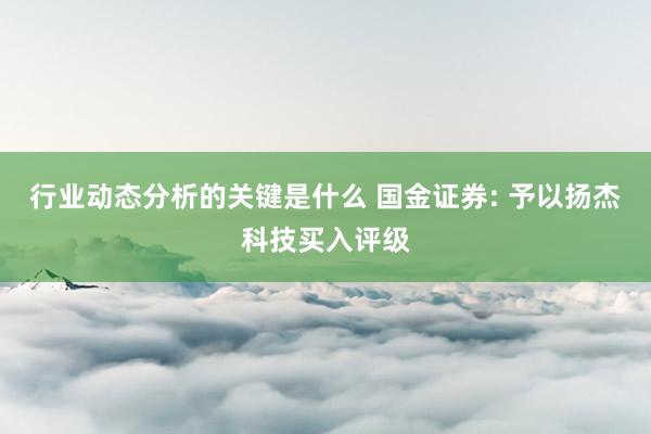 行业动态分析的关键是什么 国金证券: 予以扬杰科技买入评级