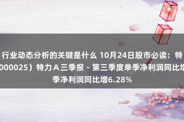 行业动态分析的关键是什么 10月24日股市必读：特 力Ａ（000025）特力Ａ三季报 - 第三季度单季净利润同比增6.28%