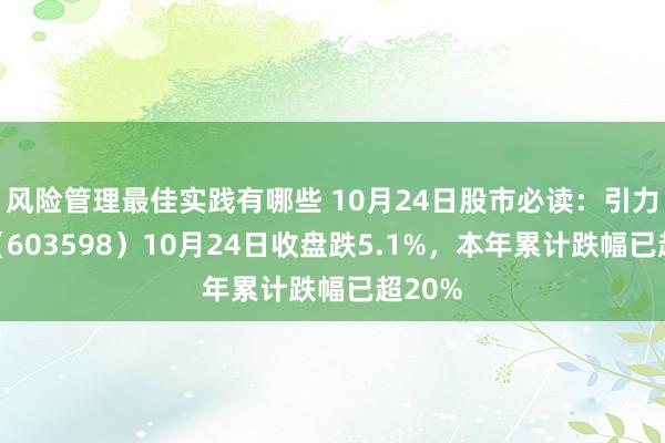 风险管理最佳实践有哪些 10月24日股市必读：引力传媒（603598）10月24日收盘跌5.1%，本年累计跌幅已超20%