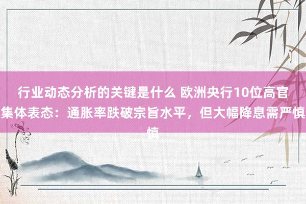 行业动态分析的关键是什么 欧洲央行10位高官集体表态：通胀率跌破宗旨水平，但大幅降息需严慎