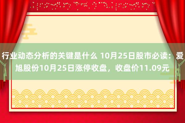 行业动态分析的关键是什么 10月25日股市必读：爱旭股份10月25日涨停收盘，收盘价11.09元