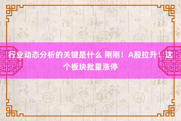 行业动态分析的关键是什么 刚刚！A股拉升！这个板块批量涨停