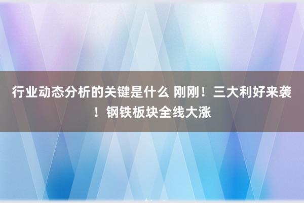 行业动态分析的关键是什么 刚刚！三大利好来袭！钢铁板块全线大涨