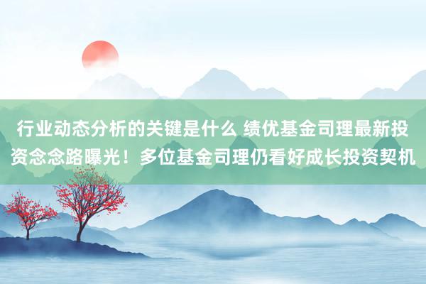 行业动态分析的关键是什么 绩优基金司理最新投资念念路曝光！多位基金司理仍看好成长投资契机