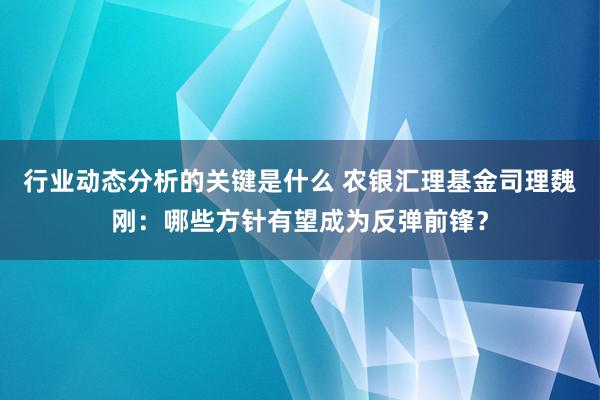 行业动态分析的关键是什么 农银汇理基金司理魏刚：哪些方针有望成为反弹前锋？