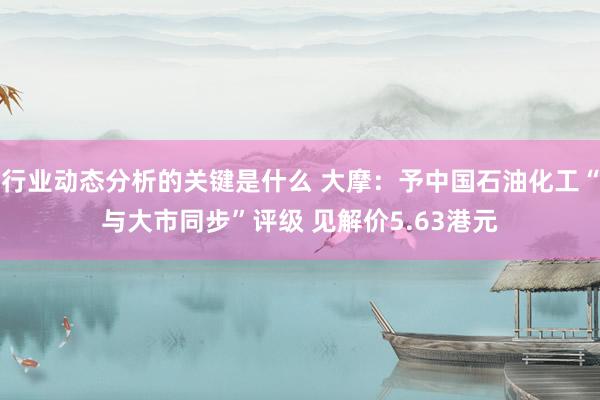 行业动态分析的关键是什么 大摩：予中国石油化工“与大市同步”评级 见解价5.63港元