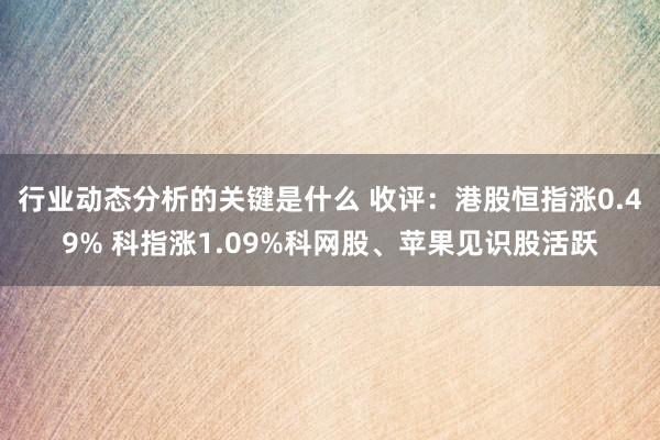 行业动态分析的关键是什么 收评：港股恒指涨0.49% 科指涨1.09%科网股、苹果见识股活跃