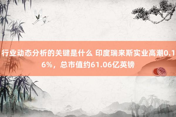 行业动态分析的关键是什么 印度瑞来斯实业高潮0.16%，总市值约61.06亿英镑