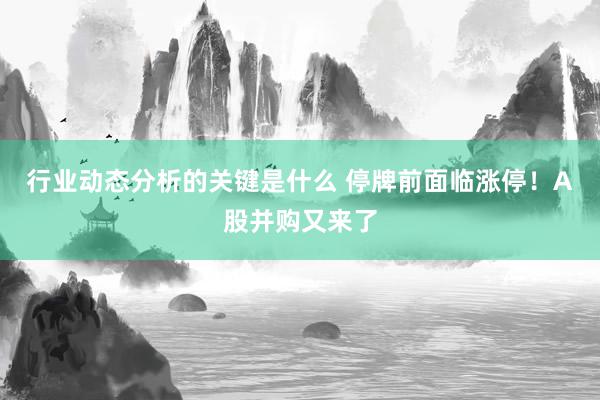 行业动态分析的关键是什么 停牌前面临涨停！A股并购又来了