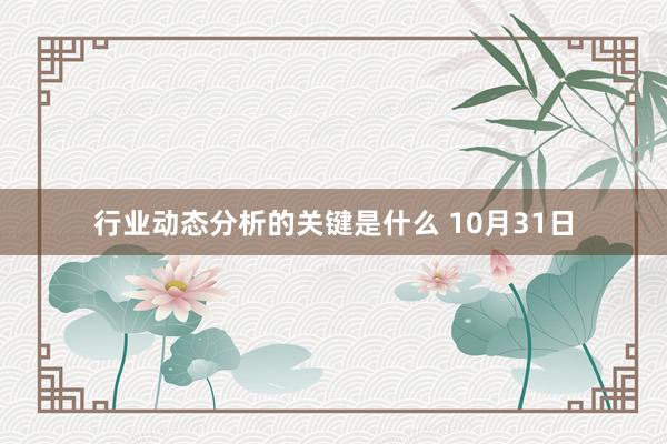 行业动态分析的关键是什么 10月31日