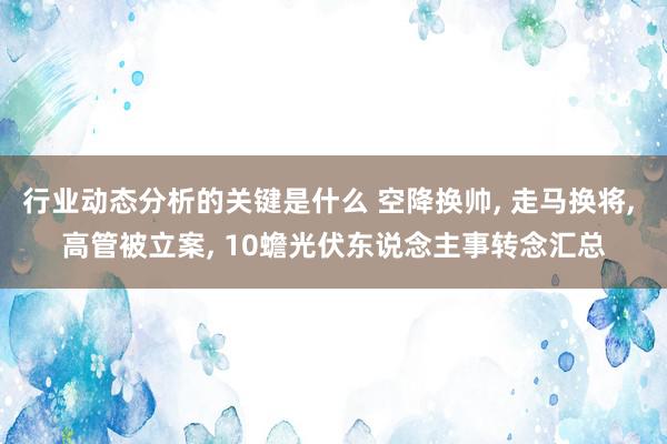 行业动态分析的关键是什么 空降换帅, 走马换将, 高管被立案, 10蟾光伏东说念主事转念汇总