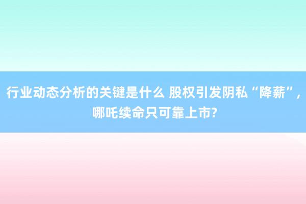 行业动态分析的关键是什么 股权引发阴私“降薪”, 哪吒续命只可靠上市?