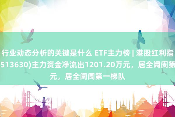 行业动态分析的关键是什么 ETF主力榜 | 港股红利指数ETF(513630)主力资金净流出1201.20万元，居全阛阓第一梯队