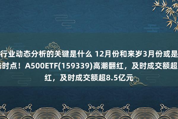 行业动态分析的关键是什么 12月份和来岁3月份或是A股伏击时点！A500ETF(159339)高潮翻红，及时成交额超8.5亿元