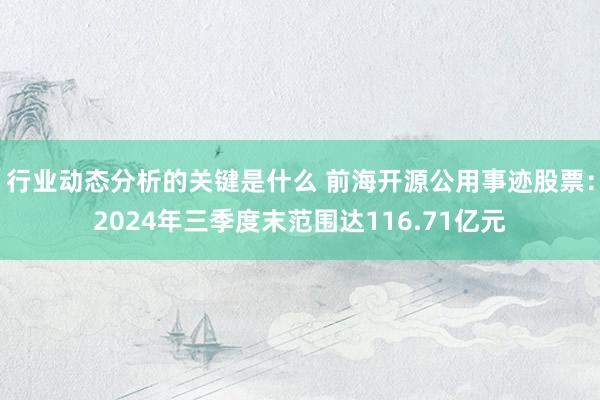 行业动态分析的关键是什么 前海开源公用事迹股票：2024年三季度末范围达116.71亿元