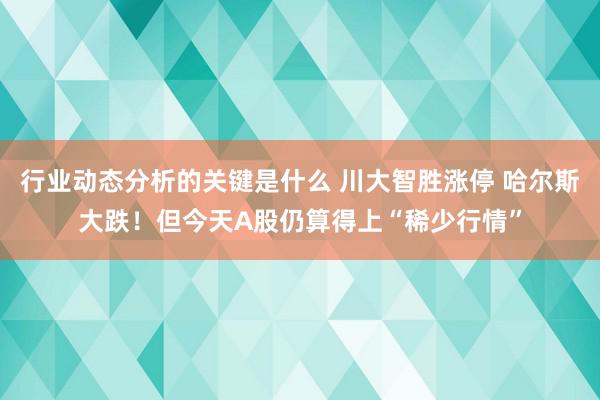 行业动态分析的关键是什么 川大智胜涨停 哈尔斯大跌！但今天A股仍算得上“稀少行情”