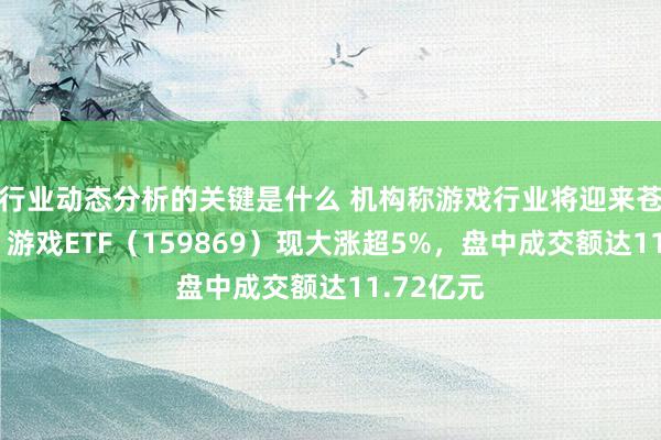 行业动态分析的关键是什么 机构称游戏行业将迎来苍劲反弹，游戏ETF（159869）现大涨超5%，盘中成交额达11.72亿元