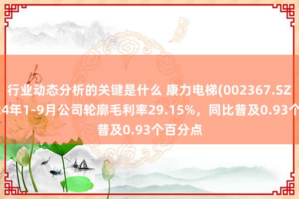 行业动态分析的关键是什么 康力电梯(002367.SZ)：2024年1-9月公司轮廓毛利率29.15%，同比普及0.93个百分点