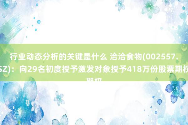 行业动态分析的关键是什么 洽洽食物(002557.SZ)：向29名初度授予激发对象授予418万份股票期权