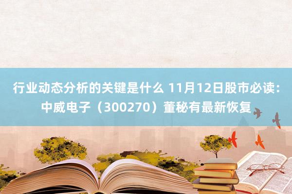 行业动态分析的关键是什么 11月12日股市必读：中威电子（300270）董秘有最新恢复