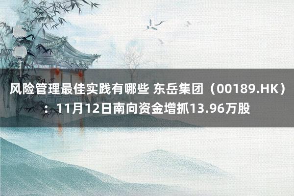 风险管理最佳实践有哪些 东岳集团（00189.HK）：11月12日南向资金增抓13.96万股