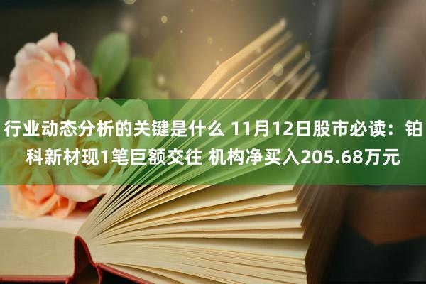 行业动态分析的关键是什么 11月12日股市必读：铂科新材现1笔巨额交往 机构净买入205.68万元