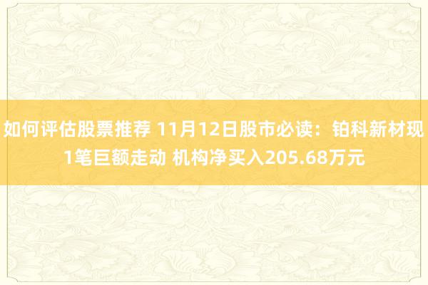 如何评估股票推荐 11月12日股市必读：铂科新材现1笔巨额走动 机构净买入205.68万元