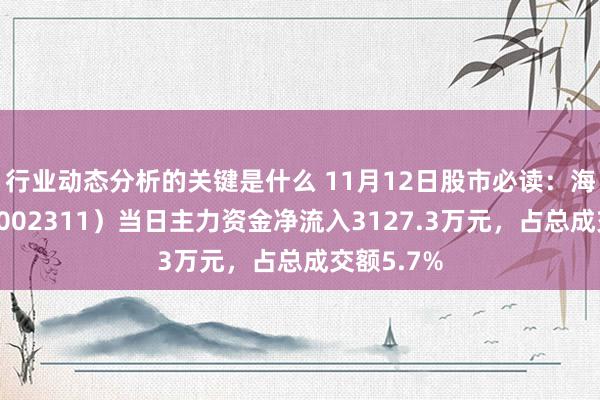 行业动态分析的关键是什么 11月12日股市必读：海大集团（002311）当日主力资金净流入3127.3万元，占总成交额5.7%