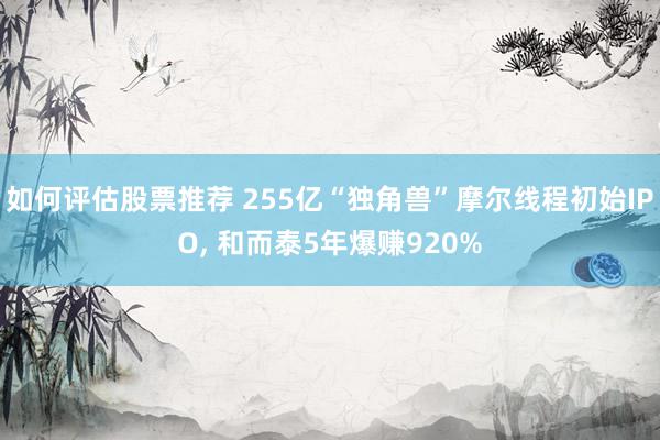 如何评估股票推荐 255亿“独角兽”摩尔线程初始IPO, 和而泰5年爆赚920%