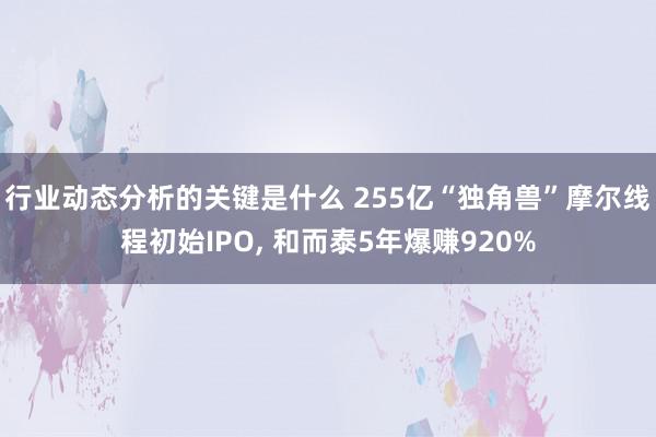 行业动态分析的关键是什么 255亿“独角兽”摩尔线程初始IPO, 和而泰5年爆赚920%