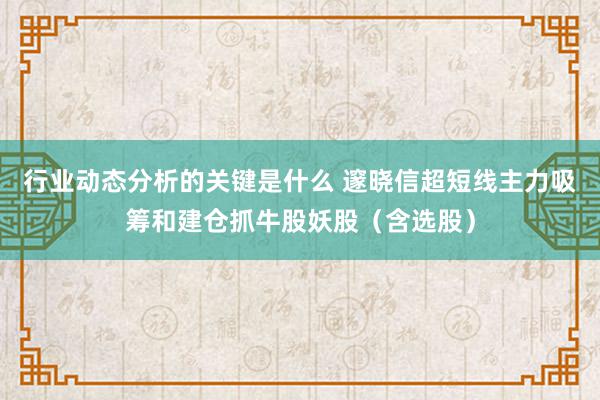 行业动态分析的关键是什么 邃晓信超短线主力吸筹和建仓抓牛股妖股（含选股）