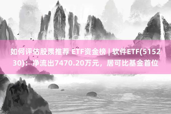 如何评估股票推荐 ETF资金榜 | 软件ETF(515230)：净流出7470.20万元，居可比基金首位