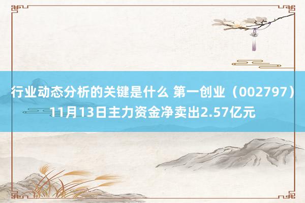 行业动态分析的关键是什么 第一创业（002797）11月13日主力资金净卖出2.57亿元