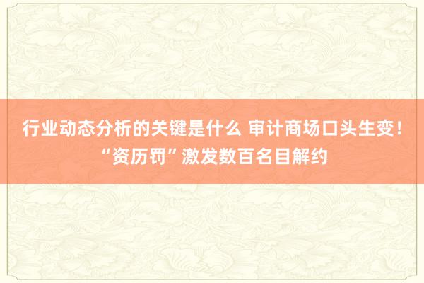 行业动态分析的关键是什么 审计商场口头生变！“资历罚”激发数百名目解约