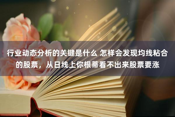 行业动态分析的关键是什么 怎样会发现均线粘合的股票，从日线上你根蒂看不出来股票要涨