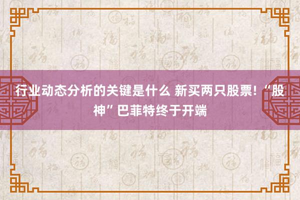 行业动态分析的关键是什么 新买两只股票! “股神”巴菲特终于开端