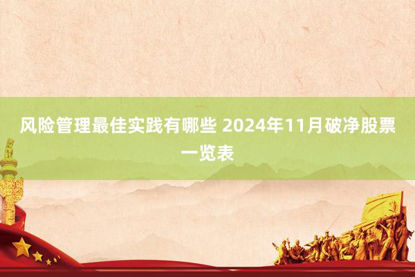 风险管理最佳实践有哪些 2024年11月破净股票一览表