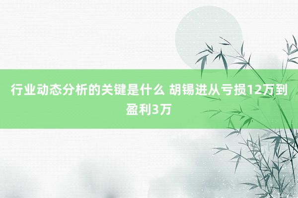 行业动态分析的关键是什么 胡锡进从亏损12万到盈利3万