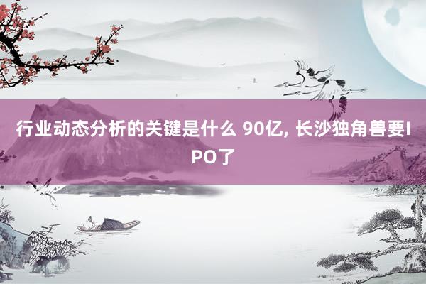 行业动态分析的关键是什么 90亿, 长沙独角兽要IPO了