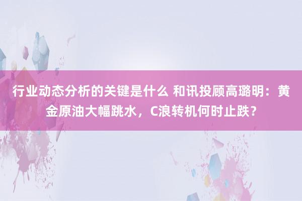 行业动态分析的关键是什么 和讯投顾高璐明：黄金原油大幅跳水，C浪转机何时止跌？