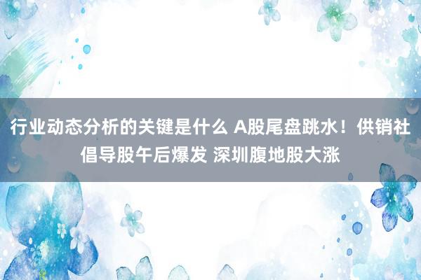 行业动态分析的关键是什么 A股尾盘跳水！供销社倡导股午后爆发 深圳腹地股大涨