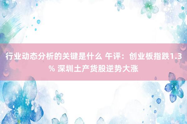 行业动态分析的关键是什么 午评：创业板指跌1.3% 深圳土产货股逆势大涨