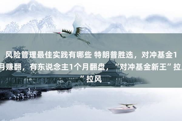 风险管理最佳实践有哪些 特朗普胜选，对冲基金11月赚翻，有东说念主1个月翻盘，“对冲基金新王”拉风