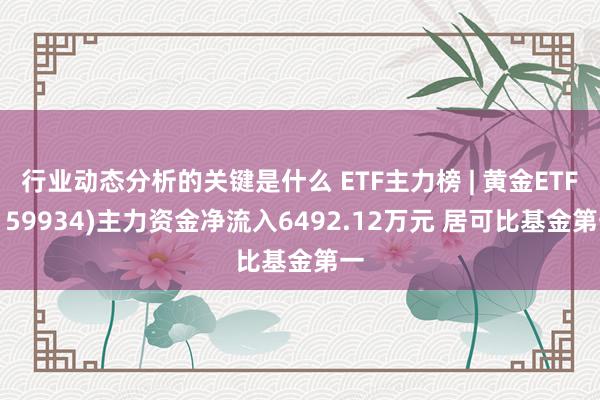 行业动态分析的关键是什么 ETF主力榜 | 黄金ETF(159934)主力资金净流入6492.12万元 居可比基金第一