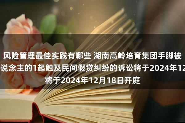 风险管理最佳实践有哪些 湖南高岭培育集团手脚被告/被上诉东说念主的1起触及民间假贷纠纷的诉讼将于2024年12月18日开庭