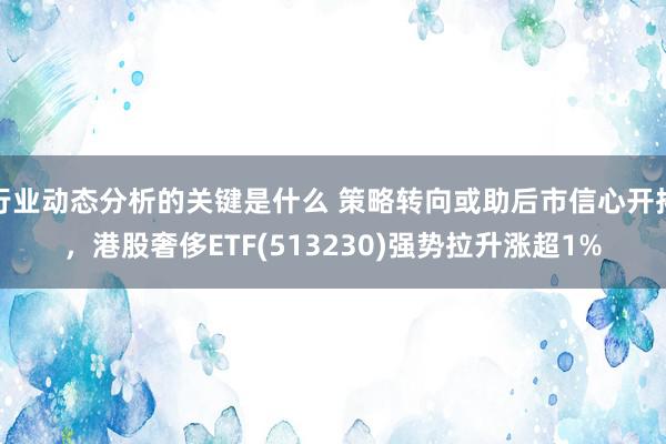 行业动态分析的关键是什么 策略转向或助后市信心开拓，港股奢侈ETF(513230)强势拉升涨超1%