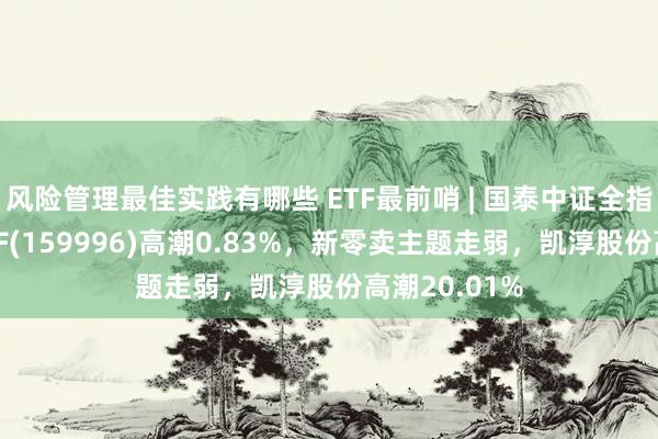 风险管理最佳实践有哪些 ETF最前哨 | 国泰中证全指家用电器ETF(159996)高潮0.83%，新零卖主题走弱，凯淳股份高潮20.01%